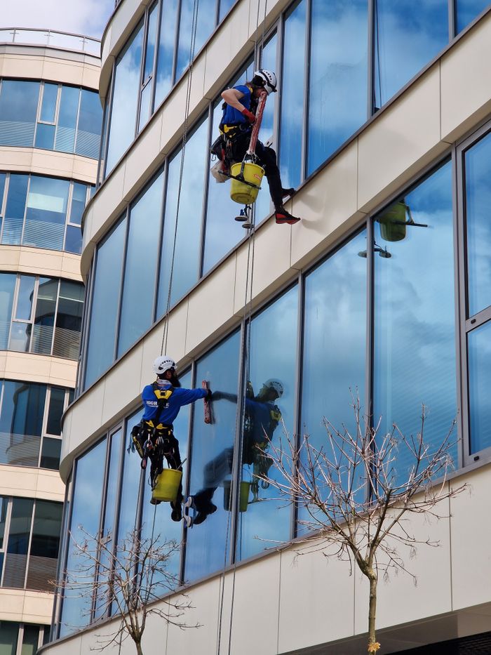 services-02 Two window cleaners using ropes on a modern skyscraper, showcasing urban professional maintenance.